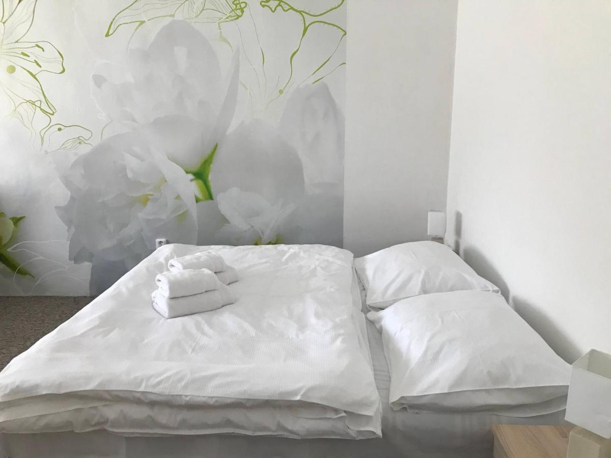 OpočnoApartman Na Namesti公寓 外观 照片