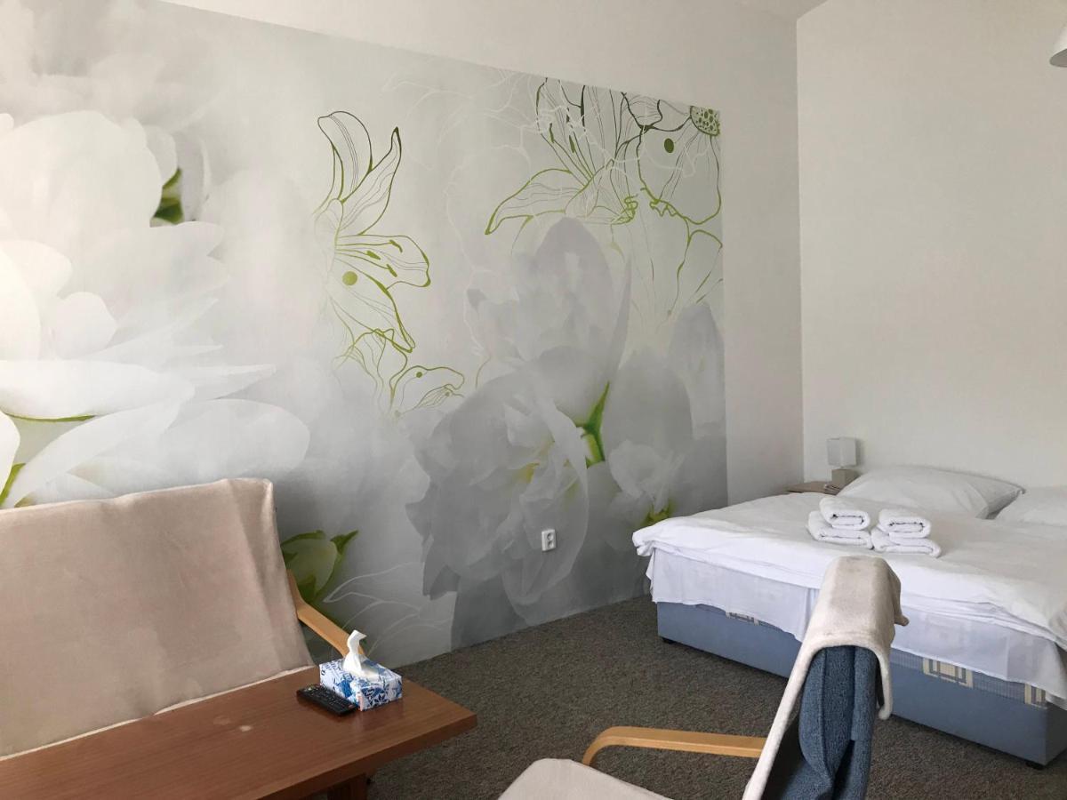 OpočnoApartman Na Namesti公寓 外观 照片