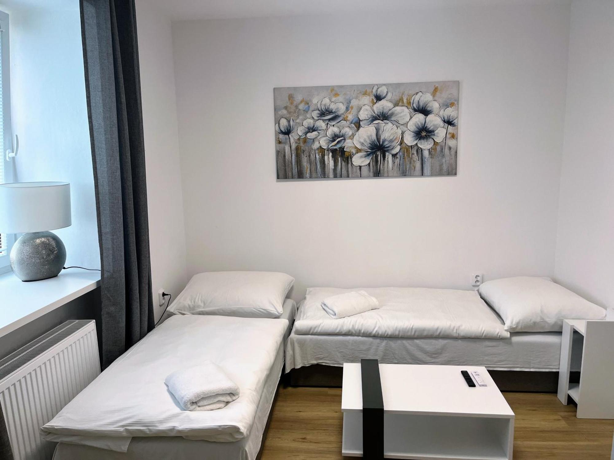 OpočnoApartman Na Namesti公寓 外观 照片